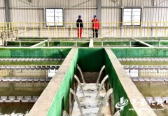 国内最大工业级膜法海水淡化项目投产 每年可节